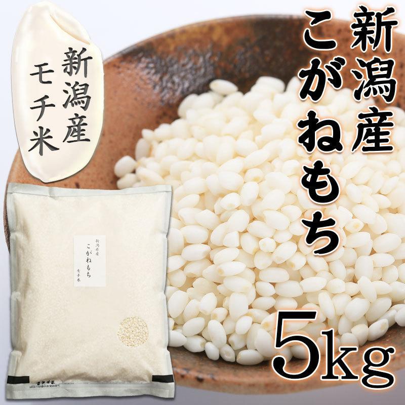 令和5年 もち米 こがねもち 5kg  新潟県産 送料無料 コガネモチ あすつく 新潟 餅米 餅 米 お米 おこわ 赤飯 美味しいお餅 5キロ