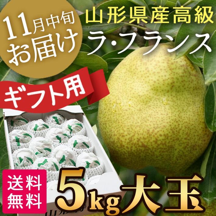 フルーツ ラフランス 5kg 贈答用 山形県産天童市産高級ラフランス秀2L 5kg 化粧箱入れ 約18個 送料無料