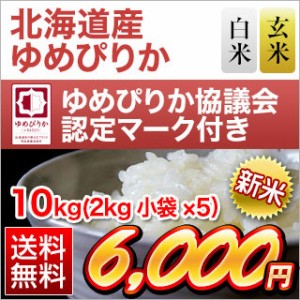 お米 10kg 2kg×5袋 白米 新米 令和5年産 北海道産 ゆめぴりか 〈12回連続の特A評価〉送料無料【即日出荷は白米のみ