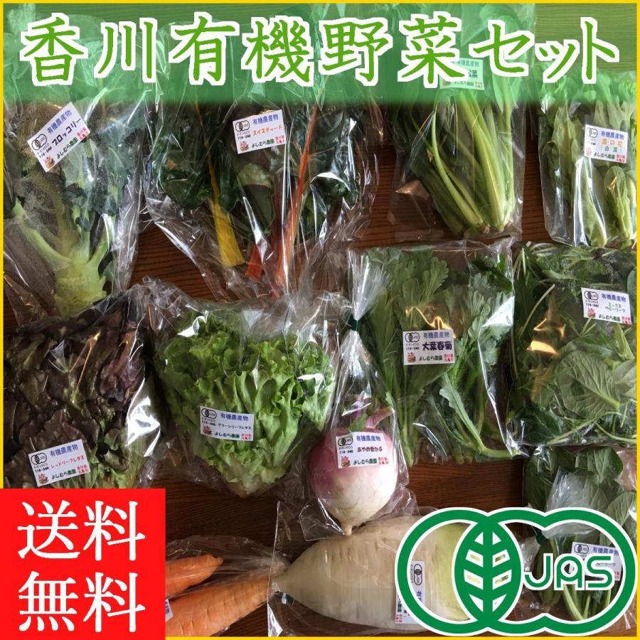 香川産 有機野菜セット レギュラーコース 12~13品 旬の野菜詰め合せ オーガニック JAS 誕生日 ギフト プレゼント 