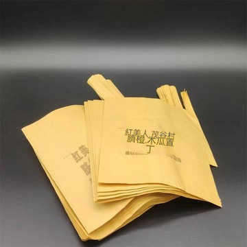 【防蟲套袋】紅美人套袋專用袋柑橘橘子楊桃枇杷袋番石榴紙袋茂谷柑橙子水果袋00