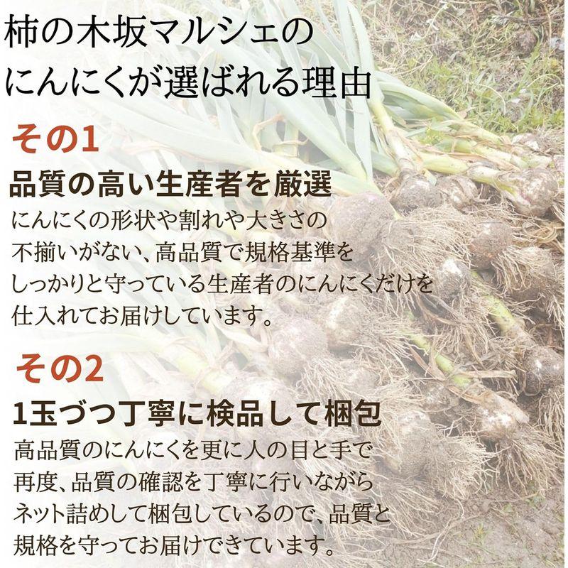 柿の木坂マルシェ にんにく 福地ホワイト六片 青森県産 A品2Lサイズ 国産 香味 野菜 2kg