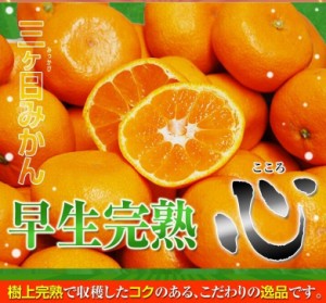 完熟 早生 『三ヶ日みかん（心）』静岡県産 約4kg S～Lサイズ ※常温 JAみっかび 送料無料