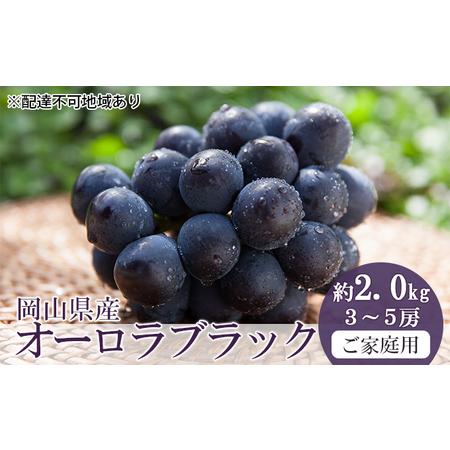 ふるさと納税 桃 2024年 先行予約 ご家庭用 オーロラブラック 約2.0kg（3〜5房） ブドウ 葡萄  岡山県産 国産 フルーツ 果物 岡山県倉敷市