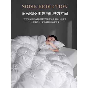 五星級酒店京希爾頓白鵝絨冬被正品羽絨被芯春秋被子家用加厚保暖