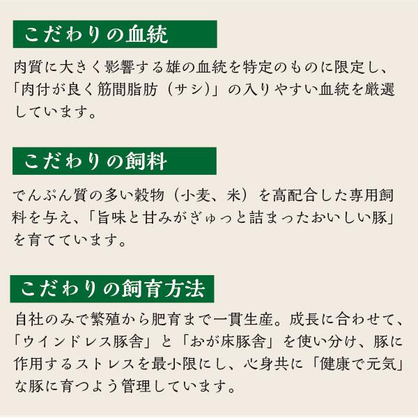 ＜送料込み＞元気豚　お試しセットL