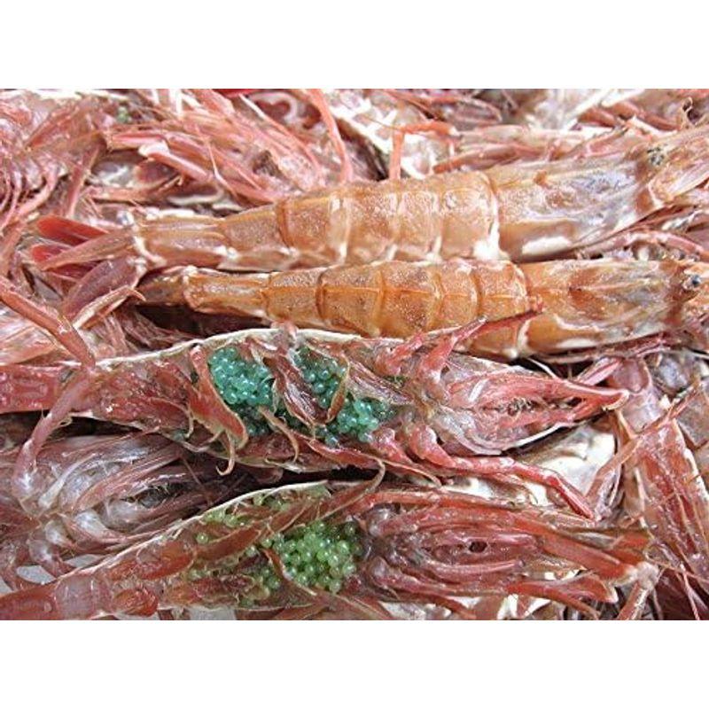 お刺身用 ガラ海老 1Kg 山陰境港産