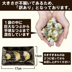 北海道鹿部町産 訳あり ”前浜ボイルつぶ ” 2kg  灯台つぶ（500g×4袋）つぶ貝 ツブ貝 海鮮 海産 刺身 事業者支援 漁師さん支援 中国禁輸措置