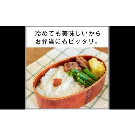 ふるさと納税 1007　《令和5年度産 新米》３ヵ月！毎月届く定期便ななつぼし５kg 北海道厚真町