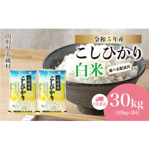 ふるさと納税 山形県 大蔵村 令和5年産 大蔵村 コシヒカリ  定期便 30kg （10kg×1か月間隔で3回お届け）