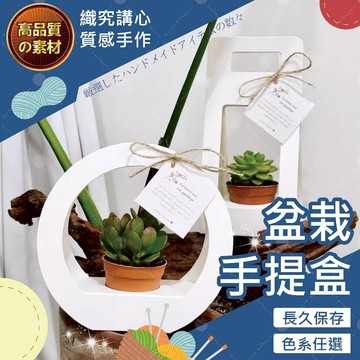 【隔日送達🚀】盆栽手提盒 提袋 透明手提袋 花袋 鮮花提袋 吊牌提袋 透視提袋 禮品袋 禮品紙袋 手提袋 櫥窗手提袋