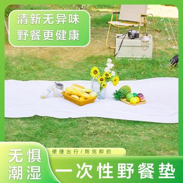 一包五條裝一次性野餐墊戶外防潮墊無紡布墊子便攜野餐防潮露營