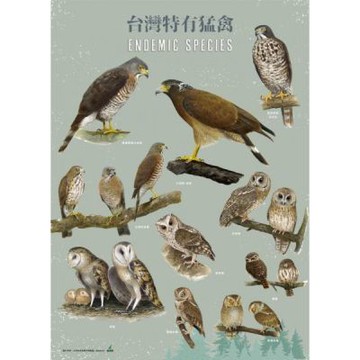 台灣特有猛禽手繪海報【城邦讀書花園】