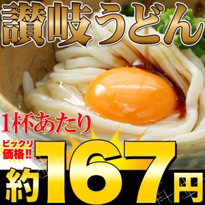 鎌田醤油 特製 ダシ醤油 6袋付き！讃岐うどん 6食分 600g（300g×2袋） [SWEET：常温]