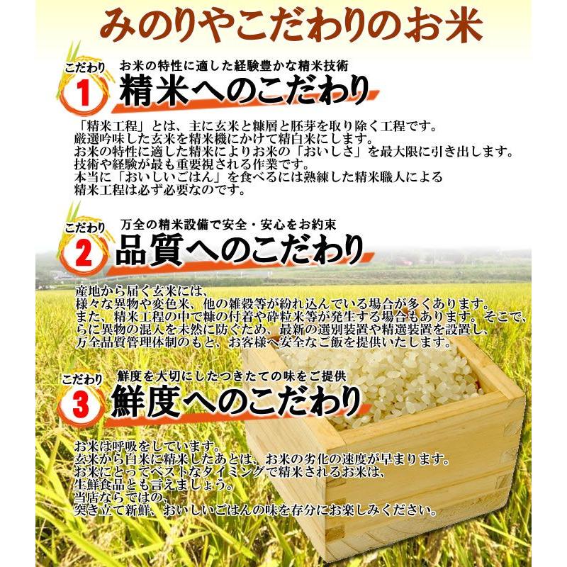 送料無料　新米 令和５年産　 茨城県産ミルキークイーン30kg　 　うまい米　米専門　みのりや