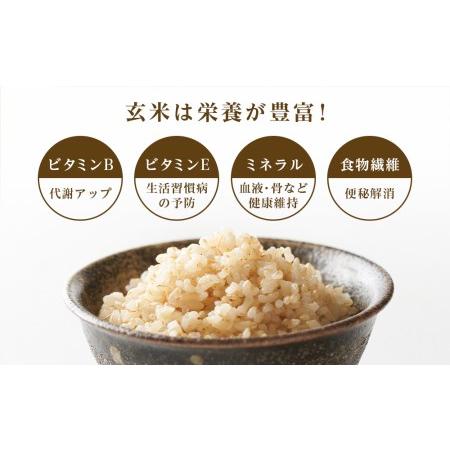 ふるさと納税  ★定期便★金賞農家★が作る「ふっくりんこ（玄米）」2kg×2パック×12回《杉本農園》米 こめ 北海道産お米 .. 北海道知内町