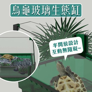 宏洋水族【🐢 烏龜玻璃生態缸】高質感玻璃✨賞析無死角 烏龜缸／烏龜盒（飼養盒 飼養箱 巴西龜 爬蟲缸 烏龜 爬蟲 飼養缸