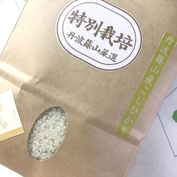 減農薬栽培 丹波篠山産コシヒカリ ２kg