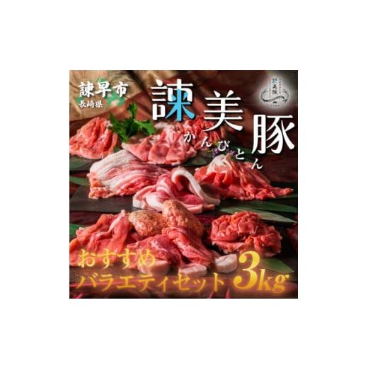 ふるさと納税 長崎県 諫早市 諫美豚(かんびとん)おすすめバラエティセット3kg