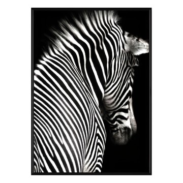 菠蘿選畫所 斑馬II 黑色 30x40cm 環保相框