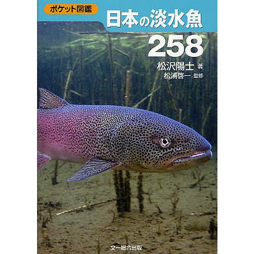 日本の淡水魚258