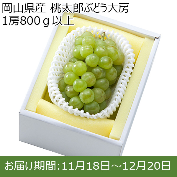 岡山県産 桃太郎ぶどう大房 1房800ｇ以上