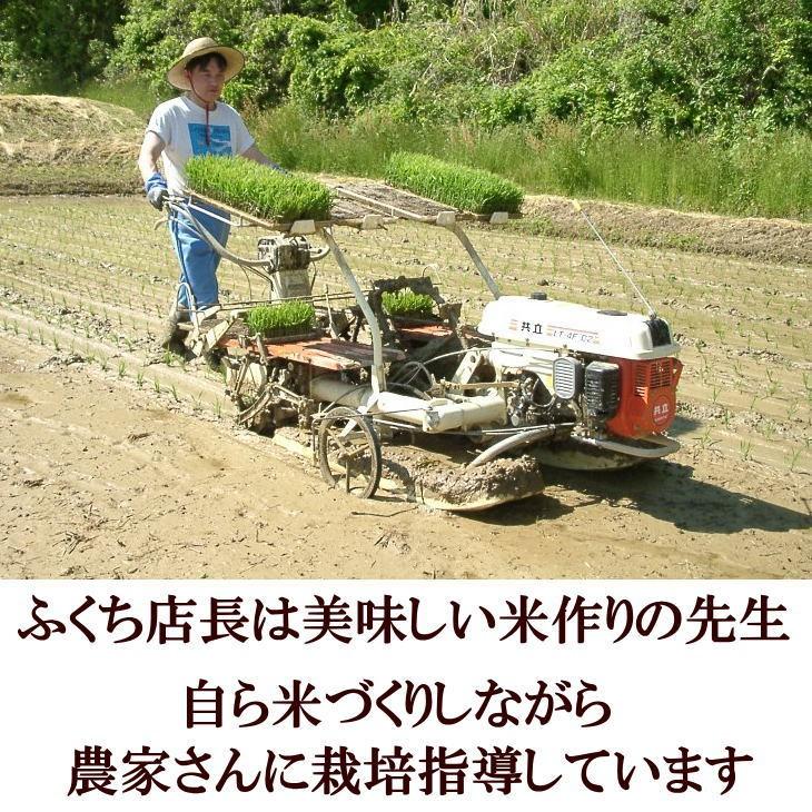 米　お米　新米　2kg　ひとめぼれ　白米　玄米もOK　発送日当日精米　令和5年産米　岩手県産　2キロから10個まで　6個以上送料無料