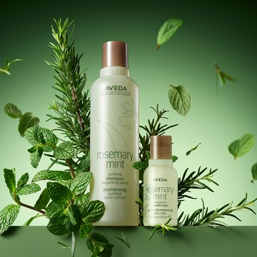 AVEDA 經典迷迭薄荷洗潤組