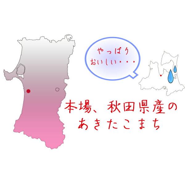 新米 米 25kg 精米 5年産 秋田県産 あきたこまち 白米25kg（5kg×5）小分け 秋田こまち