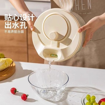 桃園出貨🍂蔬菜脫水器家用沙拉甩水廚房洗菜瀝水籃手動青菜乾脫水機食品級