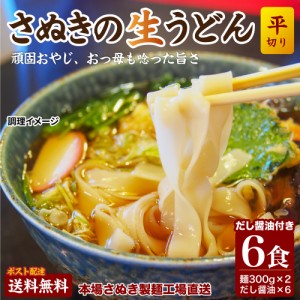 送料無 讃岐生うどん 専用醤油付セット 平切り麺 6人前 (300g×2袋)  鎌田醤油 香川 人気