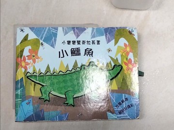 【書寶二手書T1／少年童書_REH】小鱷魚_EMMA DODD,  賴美伶