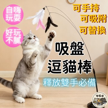 【貓咪吸盤逗貓棒】吸盤逗貓棒 逗貓棒替換頭 逗貓棒 貓玩具 逗貓玩具 自動逗貓棒 替換頭 鋼絲逗貓棒 逗貓神器 發聲