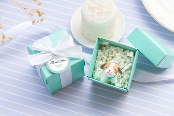 T盒裝 仰望星空動物磁鐵 可愛小禮盒 創意文具 驚喜抽獎 婚禮小物