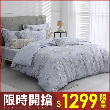 【限時下殺】100%抗菌天絲兩用被床包組 / 花色隨機 / HOYACASA