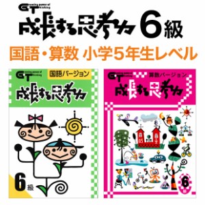 新品 メール便 送料無料 成長する思考力GTシリーズ 国語・算数バージョン6級 小学5年生レベルセット 学林舎 小学生 小学校 考える力 教材