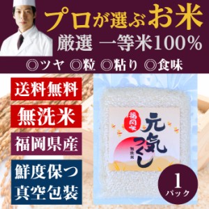 [前田家] 無洗米 プロが選ぶ一等 米 食味ランク 特A 元気つくし  2合 (300g) 1パック 　お試しパック 精米　福岡県産産 送料無料