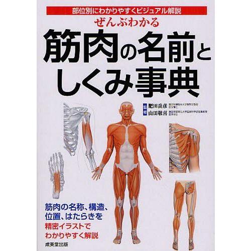 [本 雑誌] ぜんぶわかる筋肉の名前としくみ事典 部位別にわかりやすくビジュアル解説 肥田岳彦 監修 山田敬喜 監修(単行本・ムック)