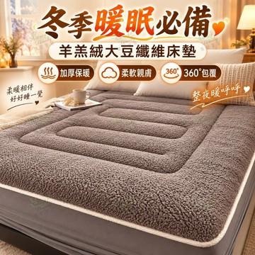 🔥秋冬必備 羊羔絨床墊 大豆纖維床墊 加厚床褥 保暖柔軟親膚 宿舍家用單雙人床墊 四季可用舒適好睡