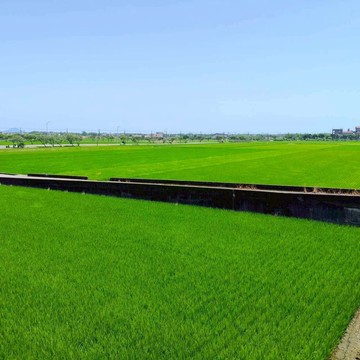 【壯圍新南農地★臨大馬路】｜宜蘭縣壯圍鄉新南段