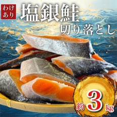 人気の海鮮お礼品 チリ産 定塩 塩銀鮭切り落とし(端材)約3kg