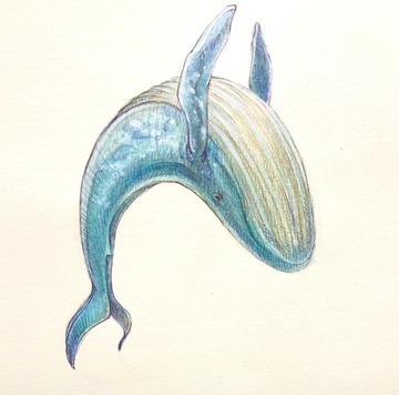 動物插畫