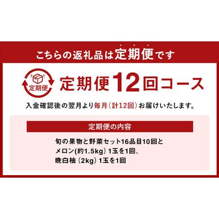 ふるさと納税  季節の果物と野菜セット 16品目 熊本県八代市