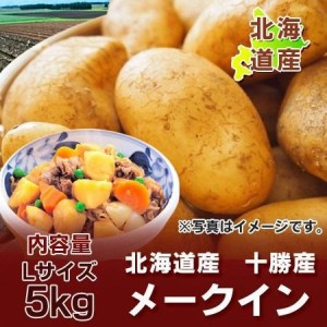 北海道 じゃがいも 送料無料 メークイン 5kg Lサイズ 北海道産 野菜 じゃがいも   ジャガイモ