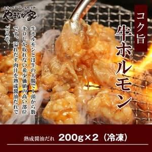 ふるさと納税 やまなか家のBBQセット2kg(K30-004) 岩手県