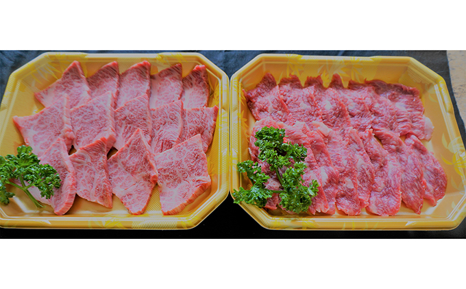 静岡牛『葵』焼肉セット　約870g