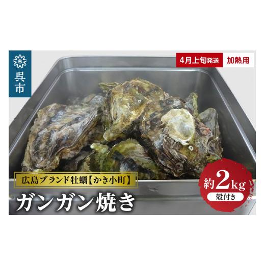 ふるさと納税 広島県 呉市 丸十水産 広島ブランド牡蠣 かき小町 ガンガン焼き 約2kg (10〜14個) 加熱用