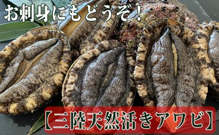 三陸天然活アワビＬサイズ900g（5～6個入）刺身 ステーキ