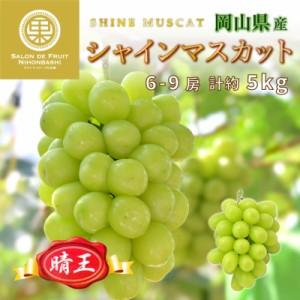 [最短順次発送]  シャインマスカット 晴王 計約5kg 6-9房 岡山県産 大粒 はれおう マスカット 高糖度 果実 夏ギフト 夏ギフト お中元 御