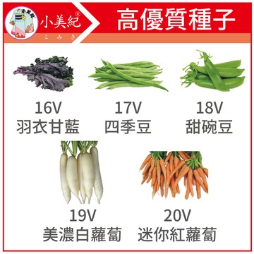 【植物保鑣】蔬菜種子 甘藍 四季豆 甜碗豆 白玉蘿蔔 紅蘿蔔 南瓜 大陸妹 花苗 土壤種植 蔬菜  短期種子 植物保標